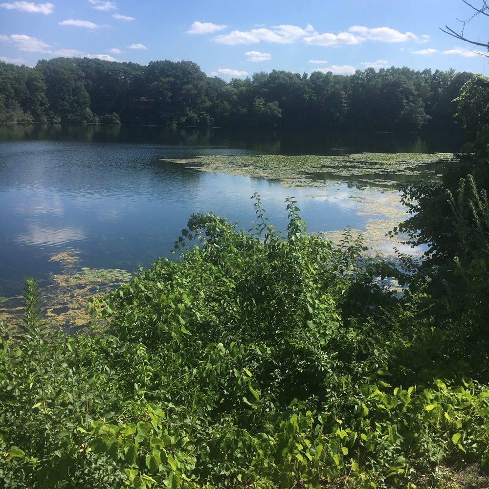 Meet your Posher, Marilyn